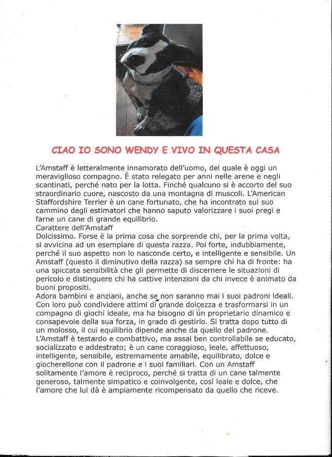 Giulietta House Bed & Breakfast Verona